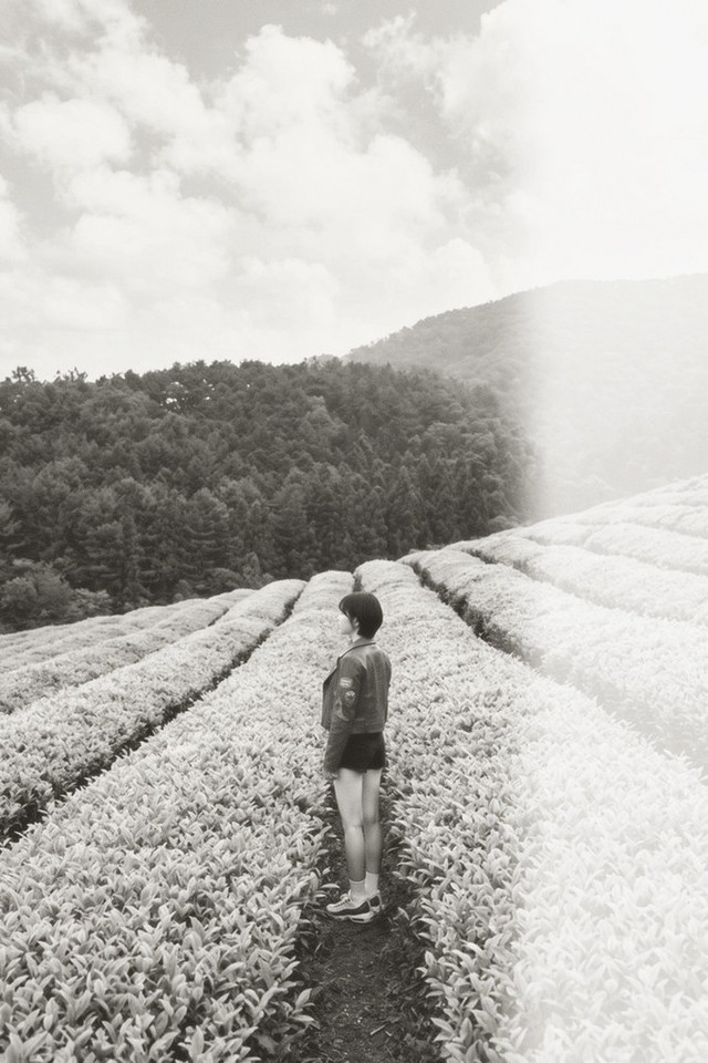 A frame developed on NoirX 400
