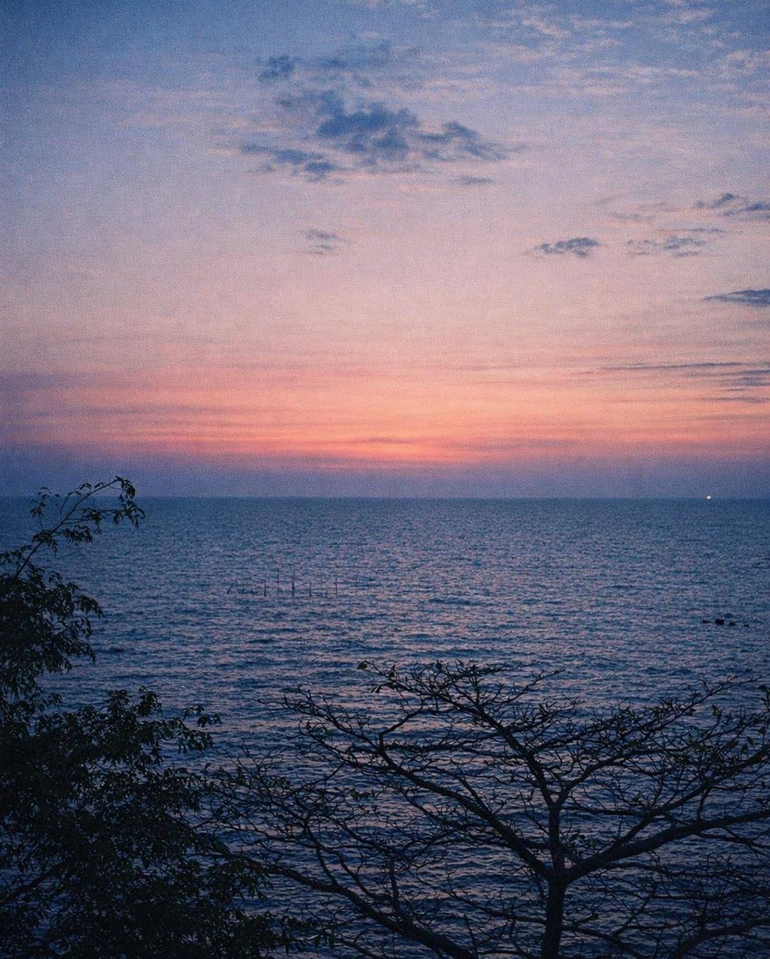A frame developed on Verdi 400